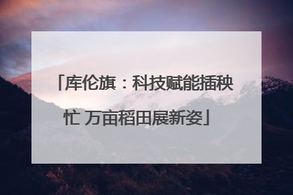 库伦旗：科技赋能插秧忙 万亩稻田展新姿