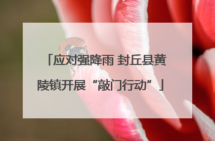 应对强降雨 封丘县黄陵镇开展“敲门行动”