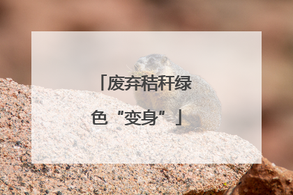 废弃秸秆绿色“变身”