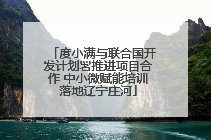 度小满与联合国开发计划署推进项目合作 中小微赋能培训落地辽宁庄河