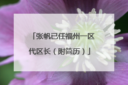 张帆已任福州一区代区长（附简历）