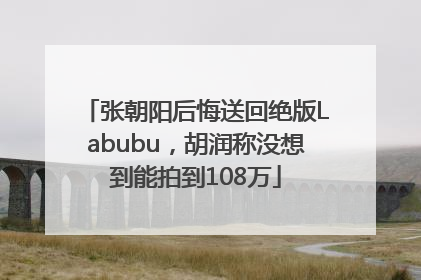 张朝阳后悔送回绝版Labubu，胡润称没想到能拍到108万