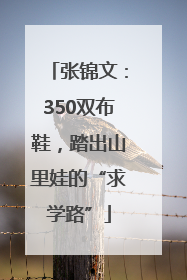 张锦文：350双布鞋，踏出山里娃的“求学路”