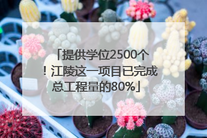 提供学位2500个！江陵这一项目已完成总工程量的80%