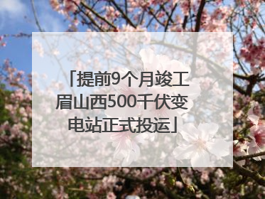 提前9个月竣工 眉山西500千伏变电站正式投运