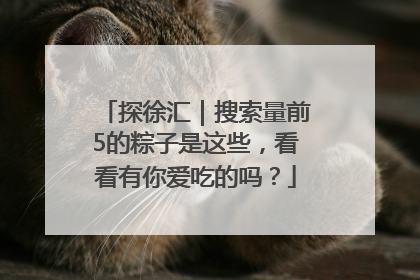 探徐汇｜搜索量前5的粽子是这些，看看有你爱吃的吗？