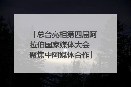 总台亮相第四届阿拉伯国家媒体大会 聚焦中阿媒体合作