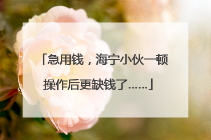 急用钱，海宁小伙一顿操作后更缺钱了……