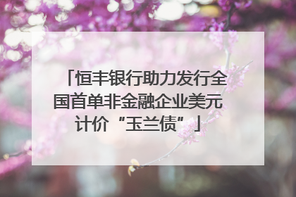 恒丰银行助力发行全国首单非金融企业美元计价“玉兰债”