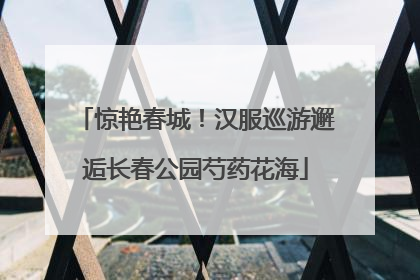 惊艳春城！汉服巡游邂逅长春公园芍药花海
