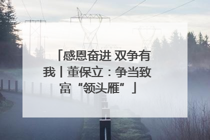 感恩奋进 双争有我丨董保立：争当致富“领头雁”