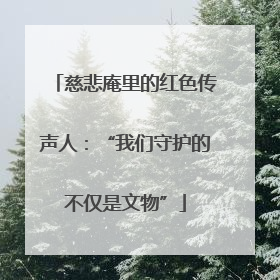 慈悲庵里的红色传声人：“我们守护的不仅是文物”