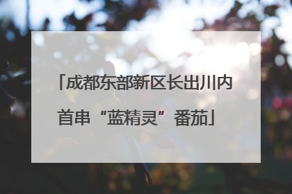 成都东部新区长出川内首串“蓝精灵”番茄