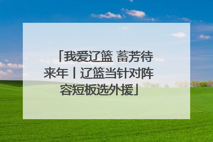 我爱辽篮 蓄芳待来年丨辽篮当针对阵容短板选外援
