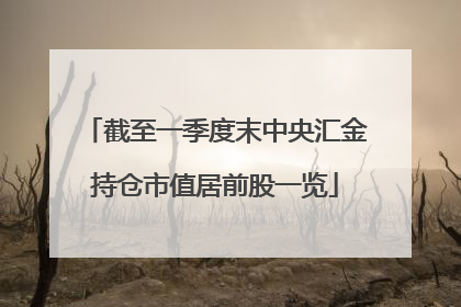 截至一季度末中央汇金持仓市值居前股一览