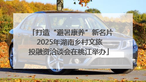 打造“避暑康养”新名片 2025年湖南乡村文旅投融资洽谈会在桃江举办