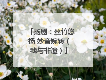 扬剧：丝竹悠扬 妙音婉转（我与非遗）