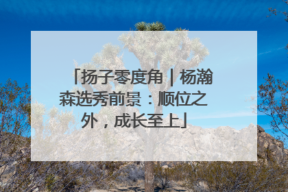 扬子零度角｜杨瀚森选秀前景：顺位之外，成长至上