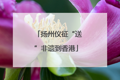 扬州仪征“送”非遗到香港
