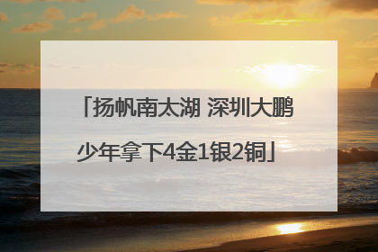 扬帆南太湖 深圳大鹏少年拿下4金1银2铜
