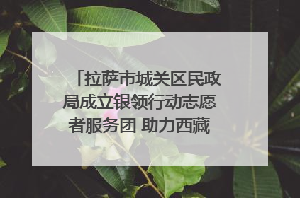 拉萨市城关区民政局成立银领行动志愿者服务团 助力西藏银发经济发展