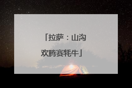 拉萨：山沟欢腾赛牦牛