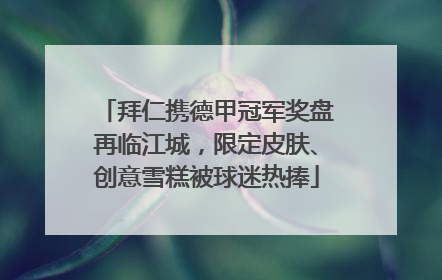 拜仁携德甲冠军奖盘再临江城，限定皮肤、创意雪糕被球迷热捧
