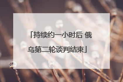 持续约一小时后 俄乌第二轮谈判结束