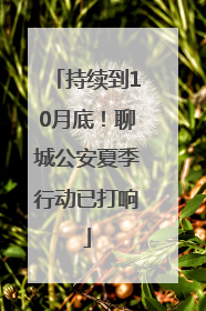 持续到10月底！聊城公安夏季行动已打响