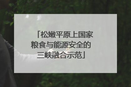松嫩平原上国家粮食与能源安全的三峡融合示范