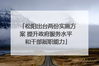 松阳出台两份实施方案 提升政府服务水平和干部履职能力