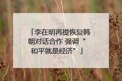 李在明再提恢复韩朝对话合作 强调“和平就是经济”