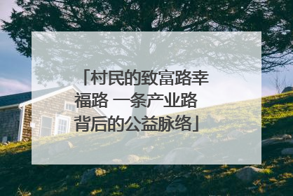 村民的致富路幸福路 一条产业路背后的公益脉络