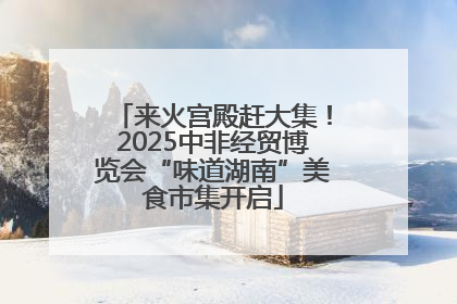 来火宫殿赶大集！2025中非经贸博览会“味道湖南”美食市集开启