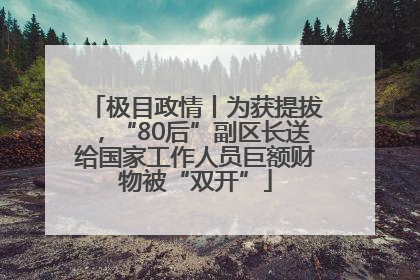 极目政情丨为获提拔，“80后”副区长送给国家工作人员巨额财物被“双开”