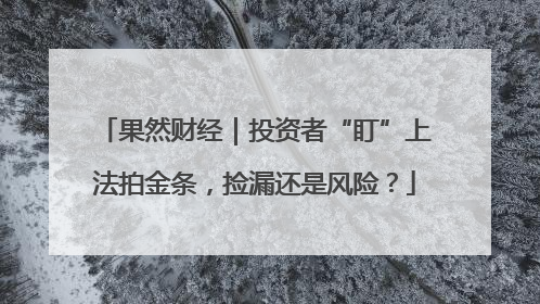果然财经｜投资者“盯”上法拍金条，捡漏还是风险？