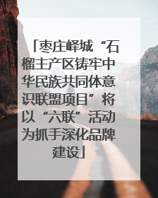 枣庄峄城“石榴主产区铸牢中华民族共同体意识联盟项目”将以“六联”活动为抓手深化品牌建设