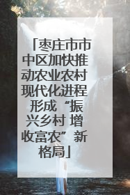 枣庄市市中区加快推动农业农村现代化进程 形成“振兴乡村 增收富农”新格局