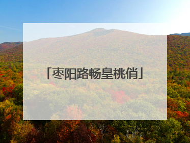 枣阳路畅皇桃俏