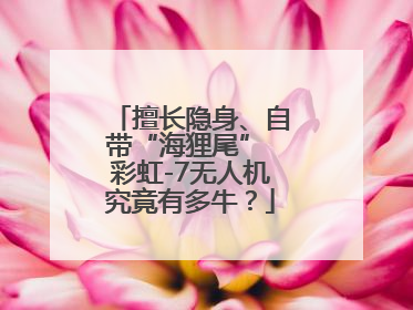 擅长隐身、自带“海狸尾” 彩虹-7无人机究竟有多牛？