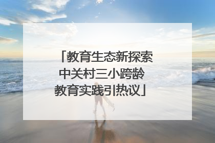 教育生态新探索 中关村三小跨龄教育实践引热议