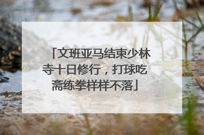 文班亚马结束少林寺十日修行，打球吃斋练拳样样不落