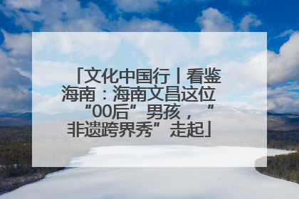 文化中国行丨看鉴海南：海南文昌这位“00后”男孩，“非遗跨界秀”走起