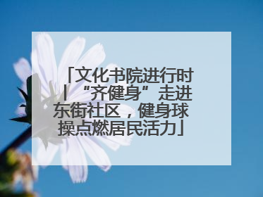 文化书院进行时丨“齐健身”走进东街社区，健身球操点燃居民活力