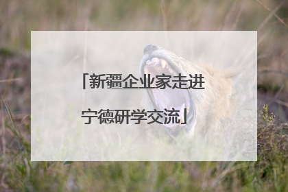 新疆企业家走进宁德研学交流