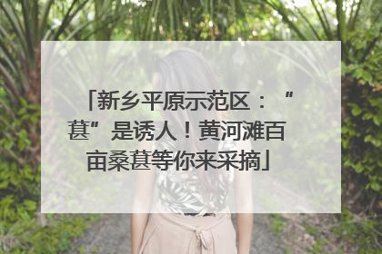 新乡平原示范区：“葚”是诱人！黄河滩百亩桑葚等你来采摘