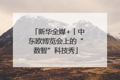 新华全媒+丨中东欧博览会上的“数智”科技秀