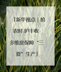 新华视点｜抢农时 护丰收 多维度保障“三夏”生产