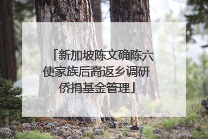 新加坡陈文确陈六使家族后裔返乡调研侨捐基金管理
