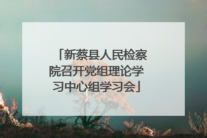 新蔡县人民检察院召开党组理论学习中心组学习会
